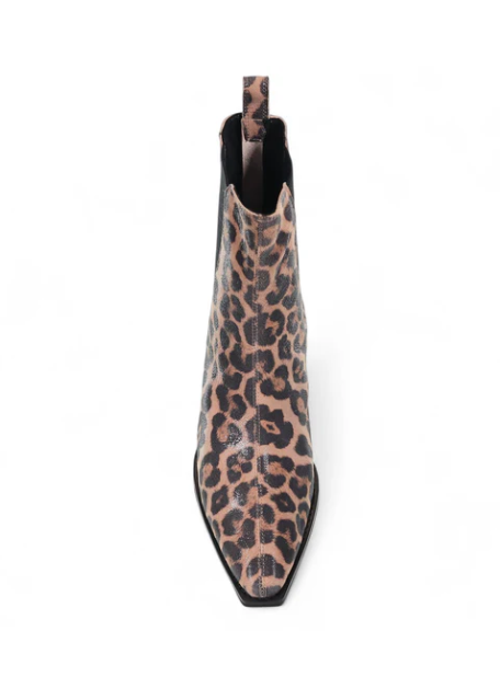 Hawk - Leopard Shimmer | Abbey Road Kaikoura