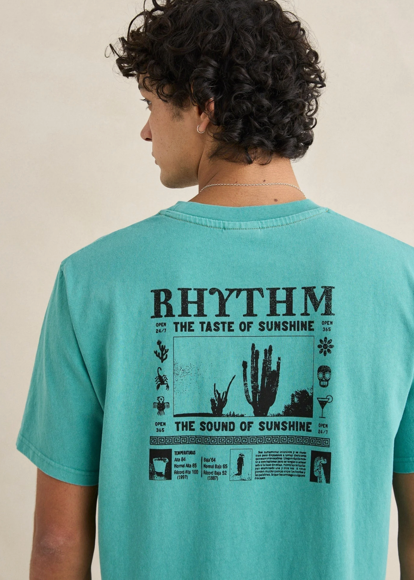 Cactus Vintage SS Tee - Wasabi | Abbey Road Kaikoura