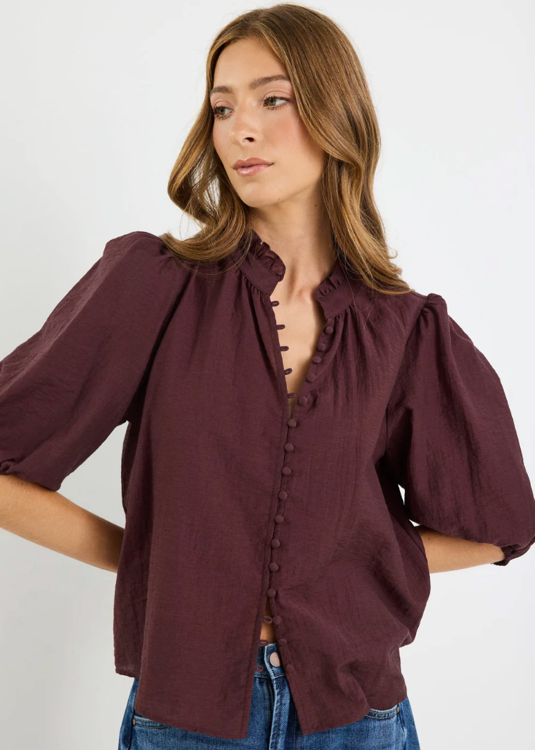 Continuance Chocolate Semi Sheer High Neck Buttoned Top | Abbey Road Kaikoura