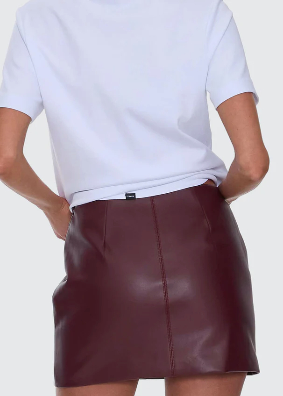 Ethan Leather Mini Skirt - New Maroon | Abbey Road Kaikoura