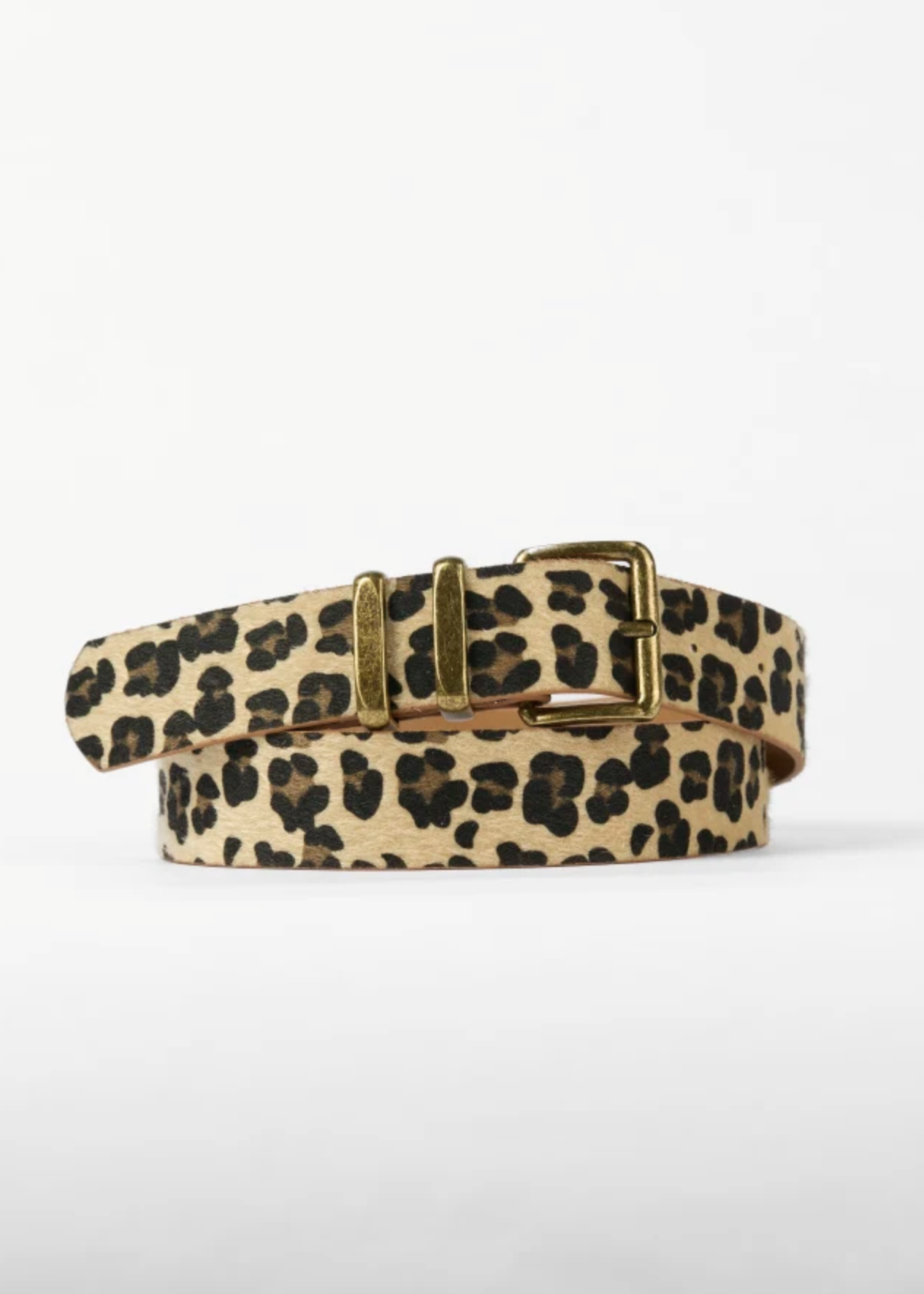 Leopard Belt | Abbey Road Kaikoura