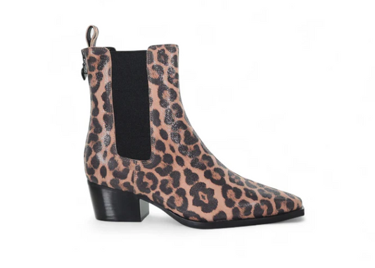 Hawk - Leopard Shimmer | Abbey Road Kaikoura