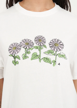 Load image into Gallery viewer, Classic Tee 170 - Marguarite chalk | Abbey Road Kaikoura