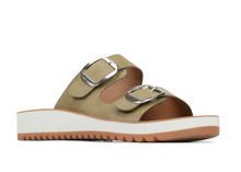 Load image into Gallery viewer, Los Cabos Naara | Abbey Road Kaikoura