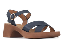 Load image into Gallery viewer, Los Cabos Alegra | Abbey Road Kaikoura