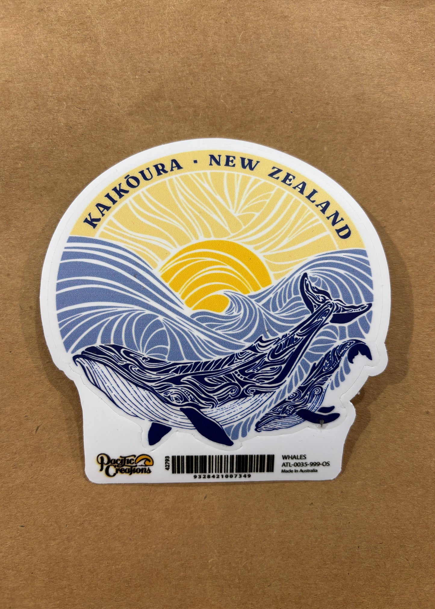 Whales | Abbey Road Kaikoura