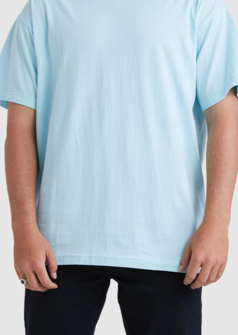 Billabong Premium wave Washed Tee Blue Moon | Abbey Road Kaikoura